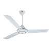 Ceiling Fans