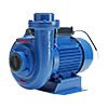 Domestic Pumps