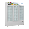 Three Door Bottle Coolers