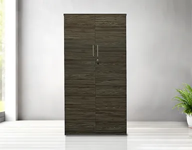 Flash 2 Door Wardrobe - Dark Walnut (LF-FLASH-2WD-DWN-S)
