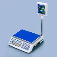 Budry Electronic Scale BES-WP15T - With pole