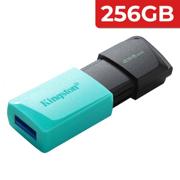 Kingston USB 3.2 Gen 1 DataTraveler Exodia M Flash Drive 256GB