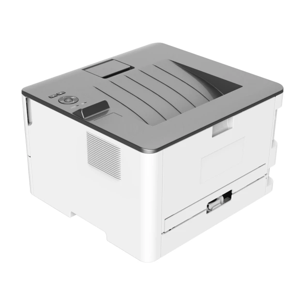 Pantum Monochrome Laser Printer P3300DW