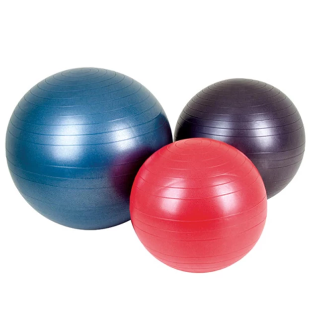 Quantum Gym Ball 55cm (QT-GB-55)