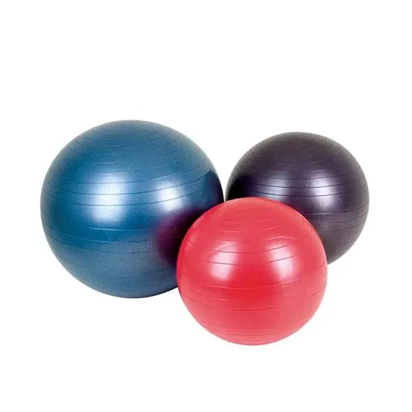 Quantum Gym Ball 65cm