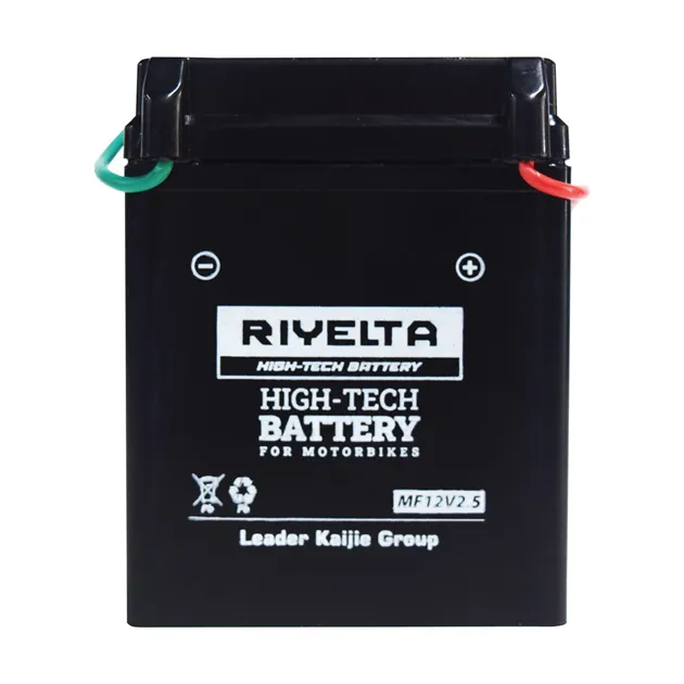 RIYELTA Motorcycle Battery 12V 2.5 Ah - MF12V2.5