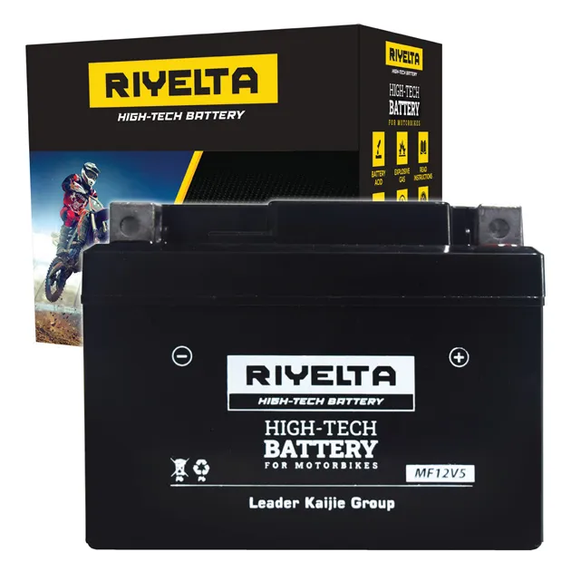 RIYELTA Motorcycle Battery 12V 4.2 Ah - MF12V5