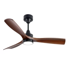 Polycrome Viera Ceiling Fan With Light - ECFP231B BLDC