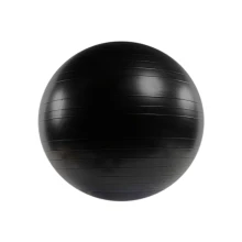 Quantum Gym Ball 65cm (QT-GB-65)