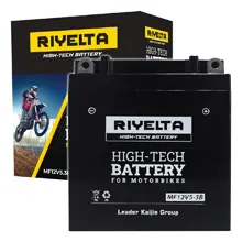 RIYELTA Motorcycle Battery 12V 5 Ah - MF12V5.3B