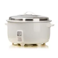 Singer Rice Cooker 10L