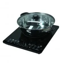 Singer Induction Cooker With Multi Function